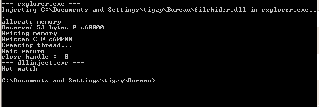 Injection of the DLL into explorer.exe